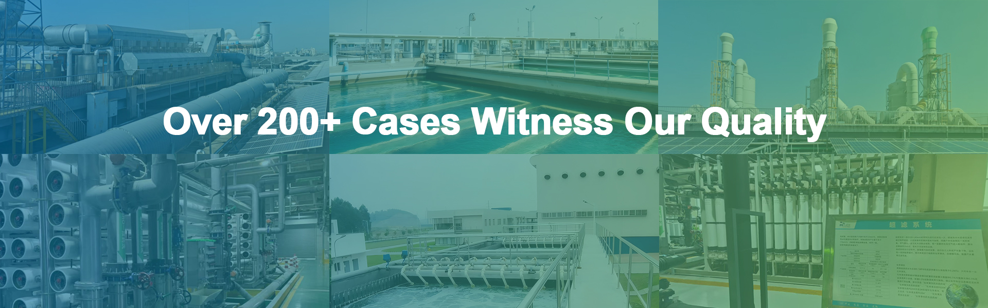 Case