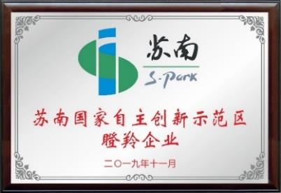 图片12