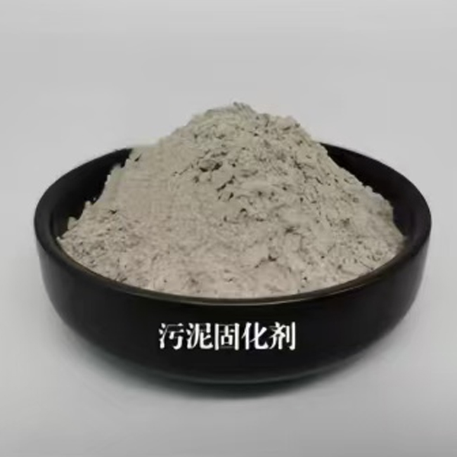 Sludge solidifier